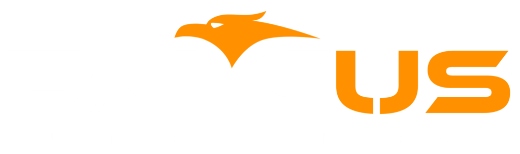 Falcus Consultoria – Soluções para excelência empresarial